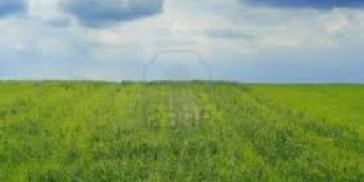 CJB27502's profile banner image