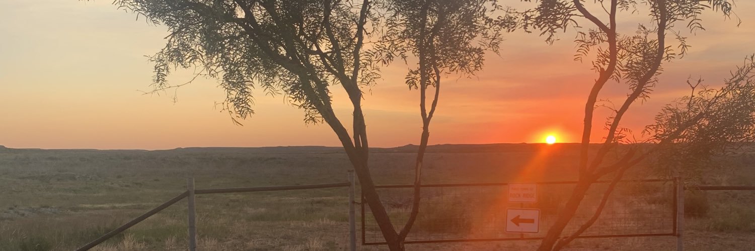 RaeganRw's profile banner image