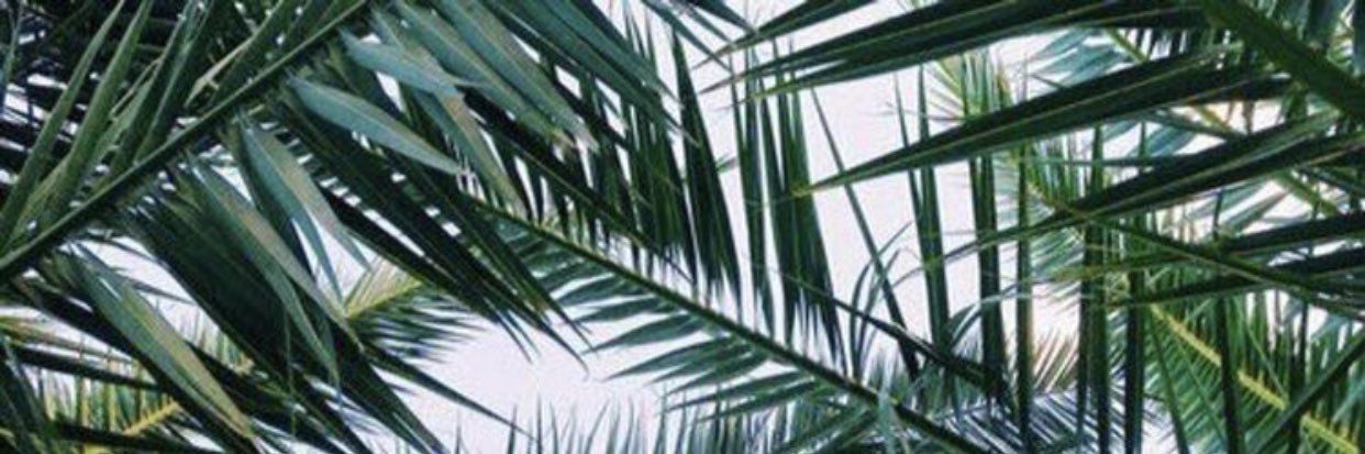 cryssbee's profile banner image