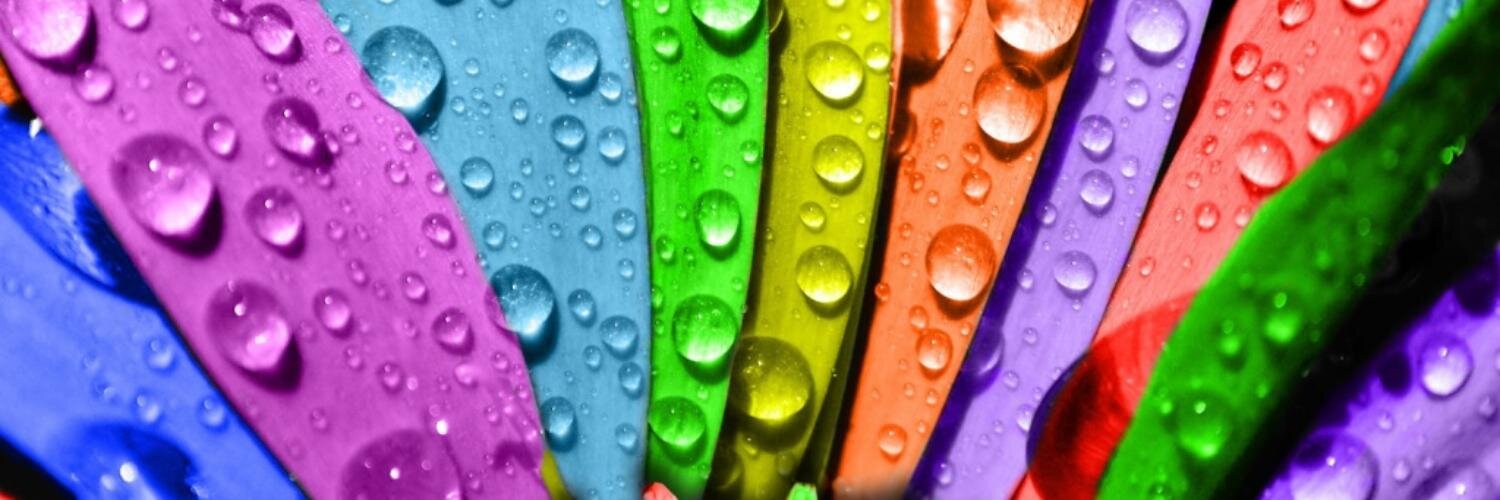 biel_filipe's profile banner image