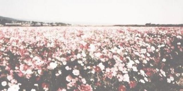 aitehyemi's profile banner image