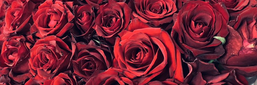 Thee_ReLebs's profile banner image
