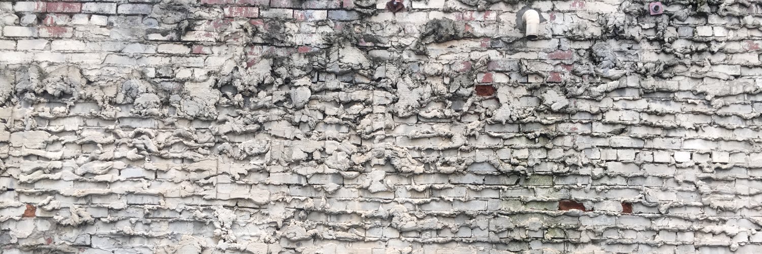 shosking's profile banner image