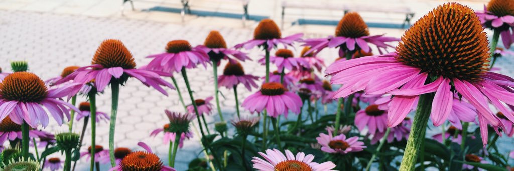 erinnshae's profile banner image