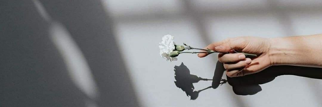 sayed_mozumdar's profile banner image