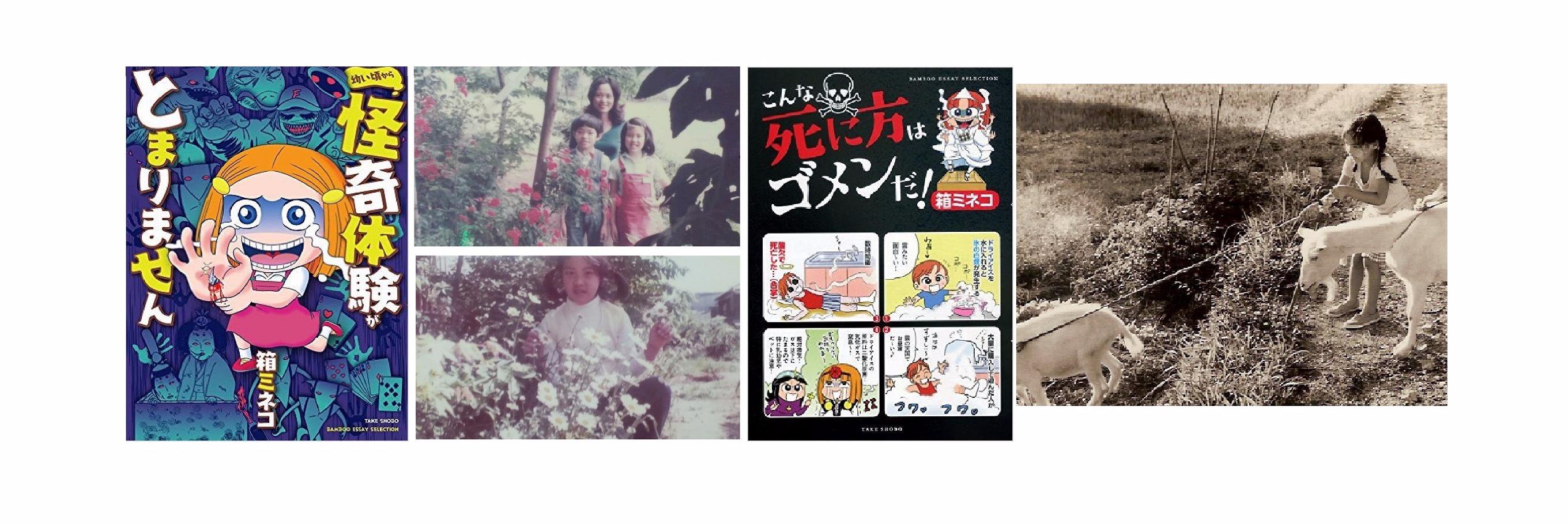 hakomine's profile banner image