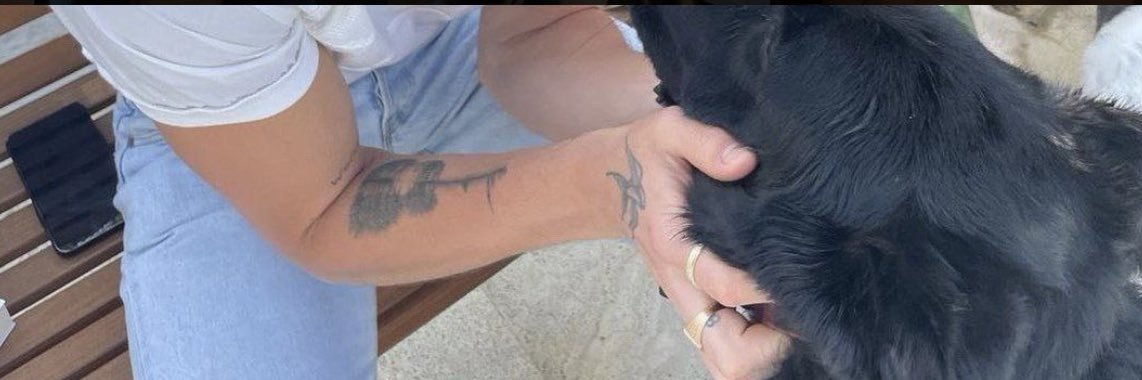 hereforselxtini's profile banner image