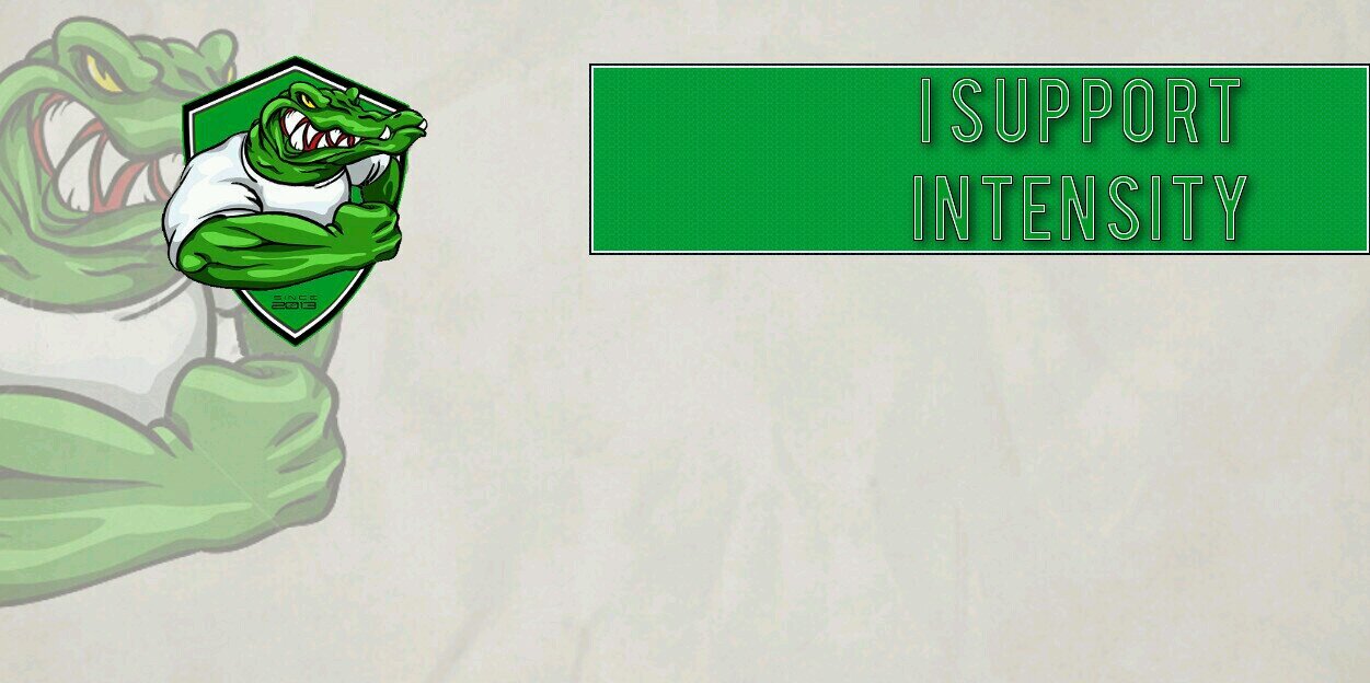 IntensityGming's profile banner image