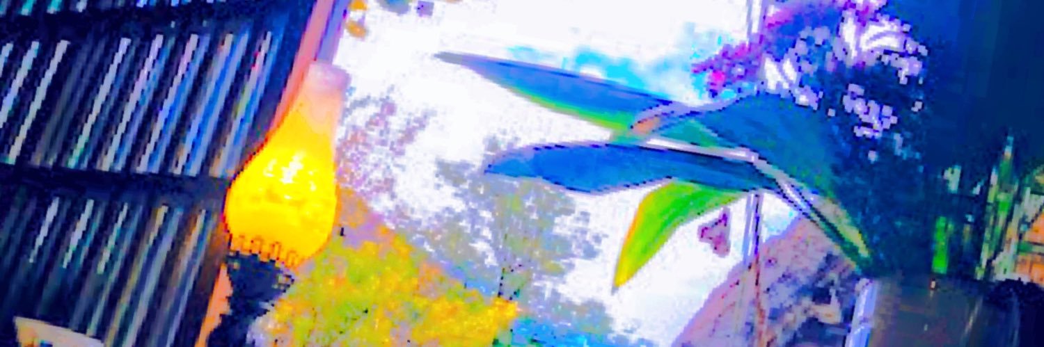 犬山イヌ代 banner