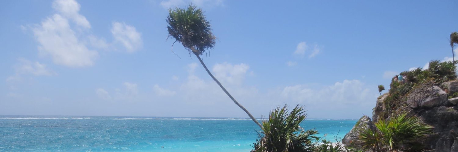 JENNNYYYC's profile banner image
