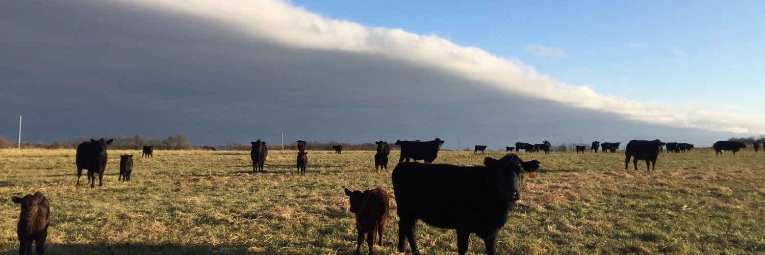 farmerdent's profile banner image