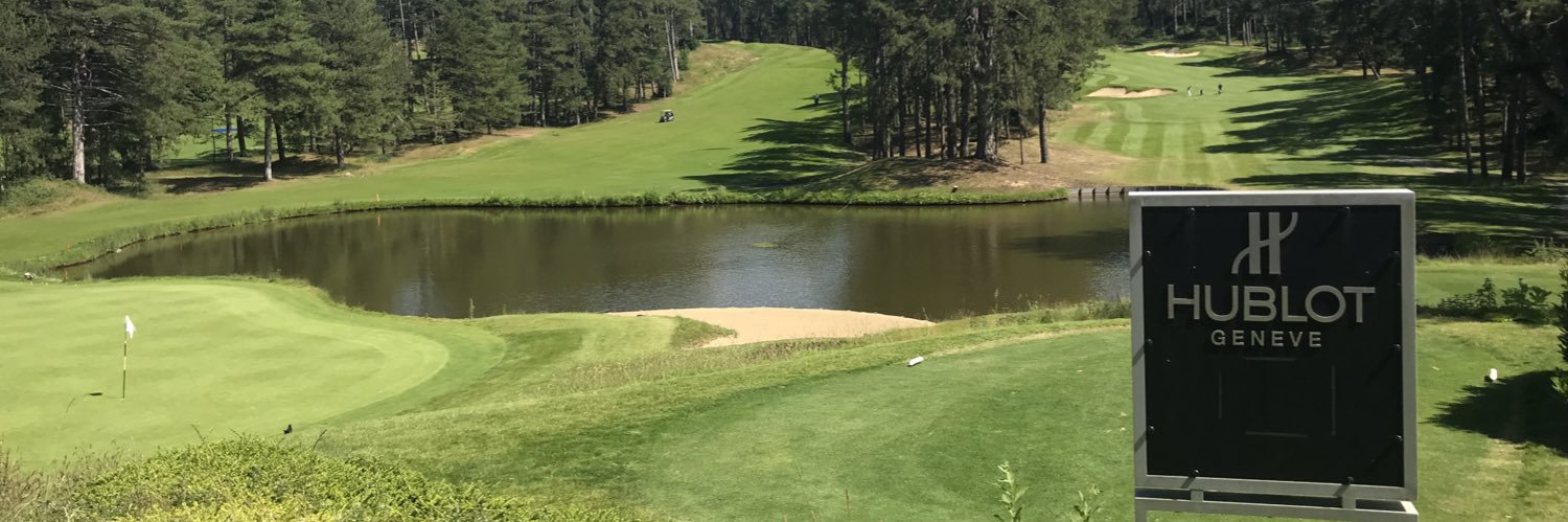 Steve Maguire banner