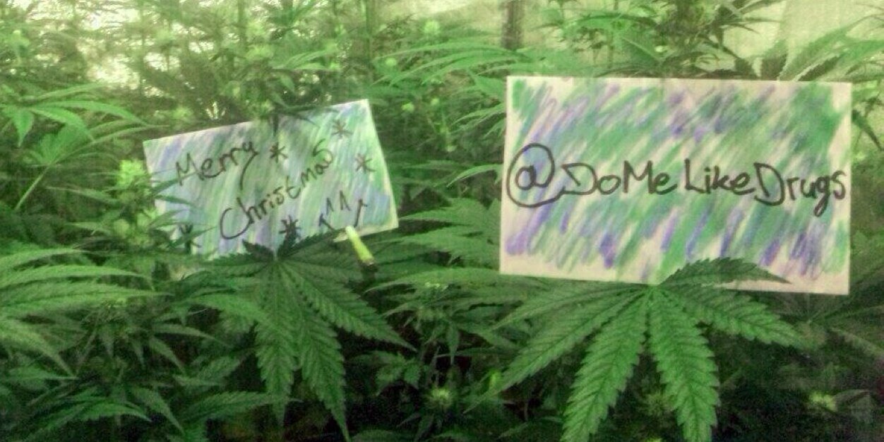 DoMeLikeDrugs's profile banner image