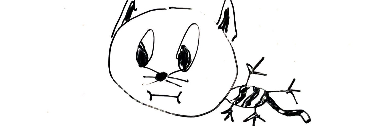 MTaylaa's profile banner image