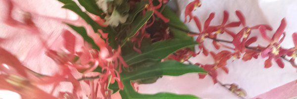 ZoiGrace Profile Banner