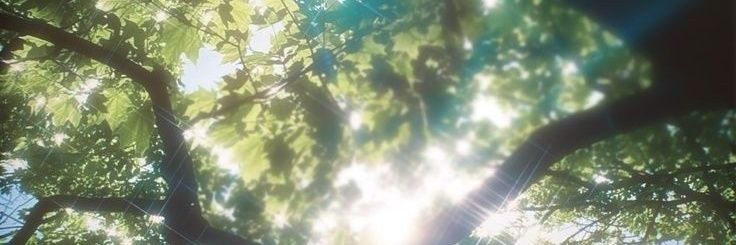 ⋆𐙚 banner