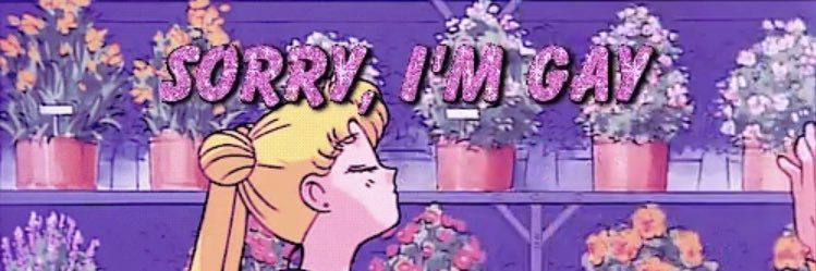 LeCatLady's profile banner image