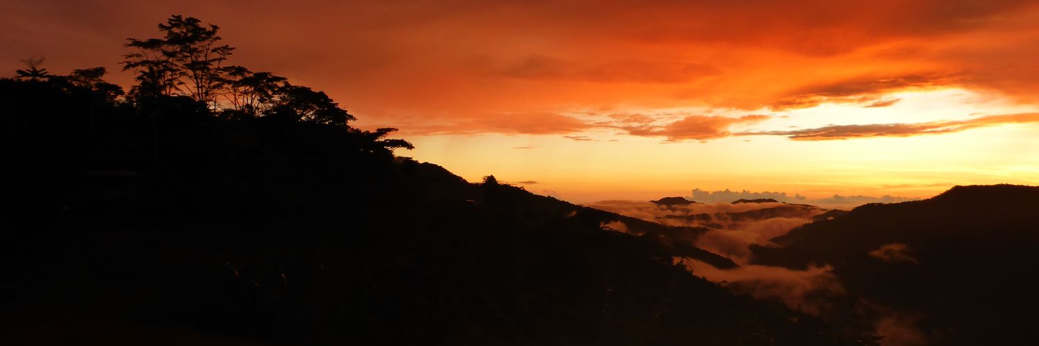 jckresq's profile banner image