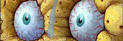 Self Reterer banner