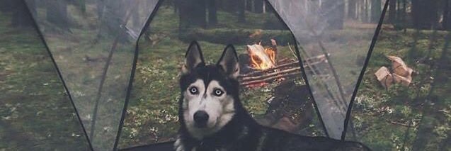 TheTekee's profile banner image