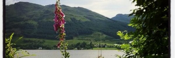 Saeed_AlSuwaidi Profile Banner