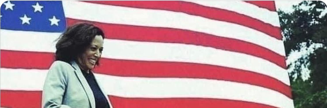 lisareeibe's profile banner image