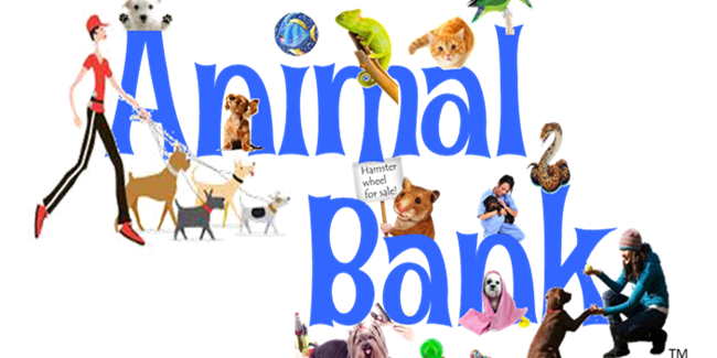 AnimalBank's profile banner image
