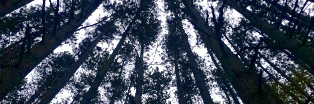 DarbyAileen's profile banner image