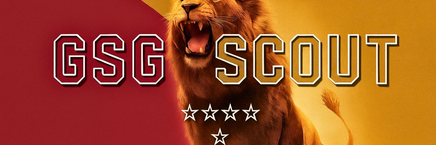 GSG SCOUT banner