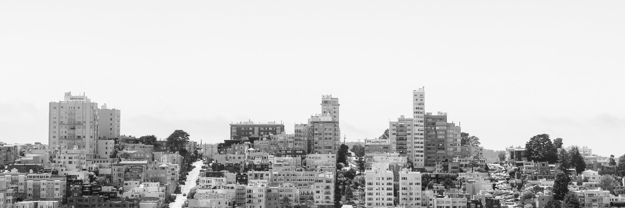 jobdegroot's profile banner image