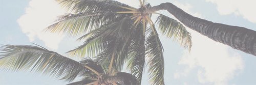 MagnusChamonix's profile banner image