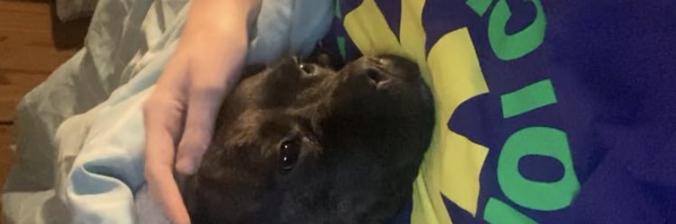 bethhowell_x's profile banner image