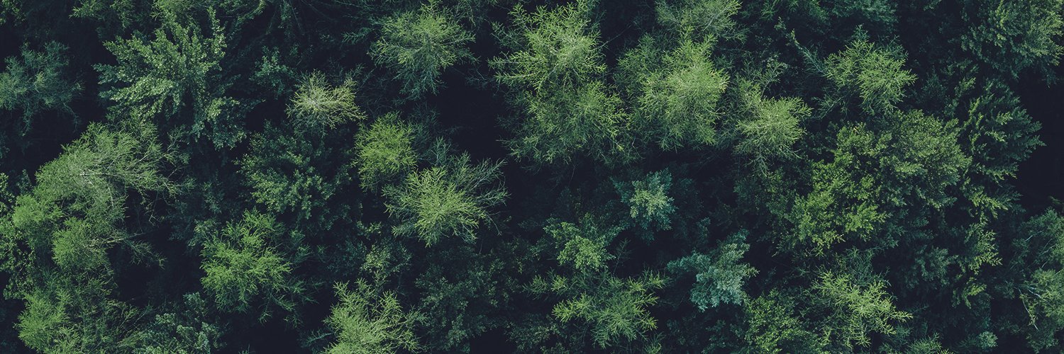 Findel Madison banner