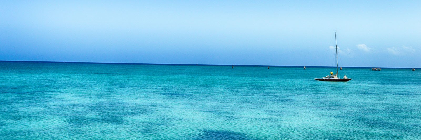 SeaGardenJa's profile banner image