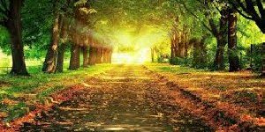 LonelyGirl_2_'s profile banner image