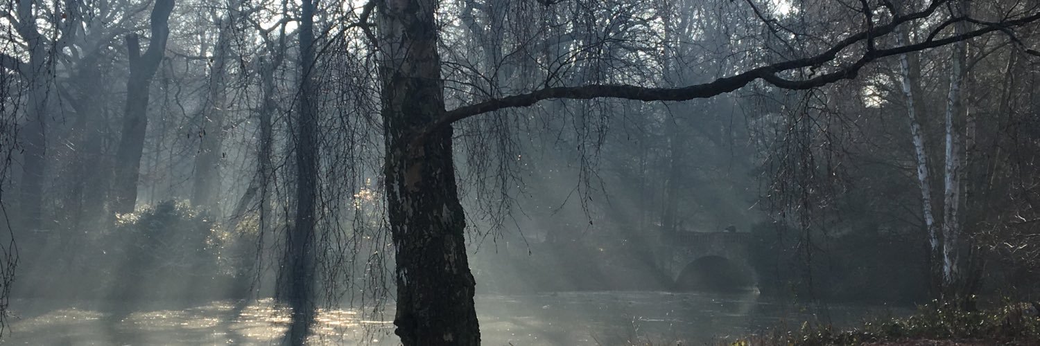 grifnic's profile banner image