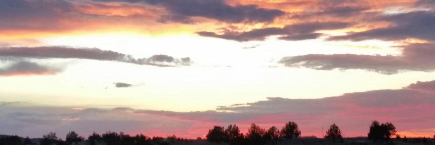 chambers_mik's profile banner image