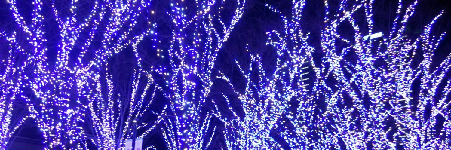 2_kiiroi's profile banner image