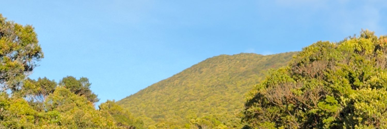 bayuorg's profile banner image