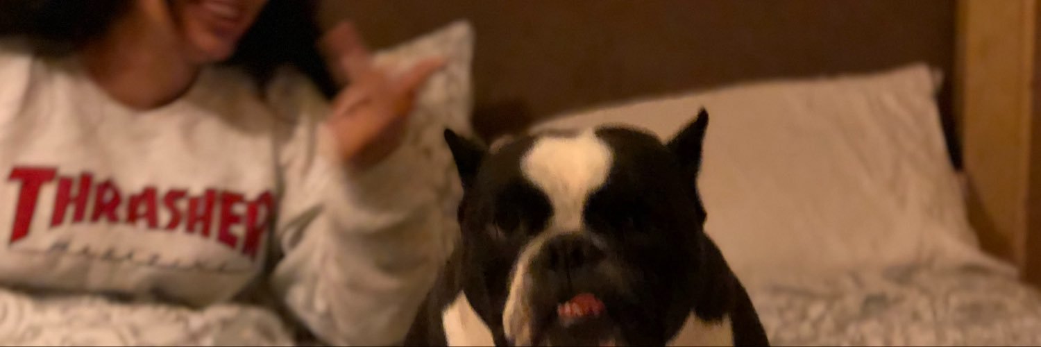 RaquelEnchilada's profile banner image
