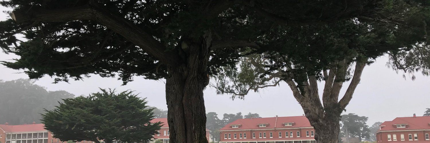 Anna Billstrom banner