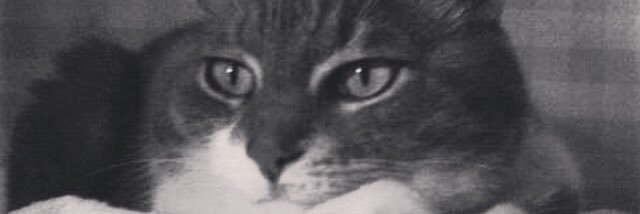 ScottyBlueCat's profile banner image