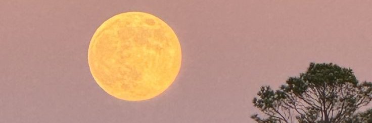 _maron23's profile banner image