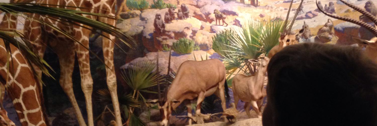 Thomas Magaldi banner