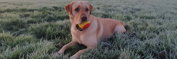 ptm650s Profile Banner