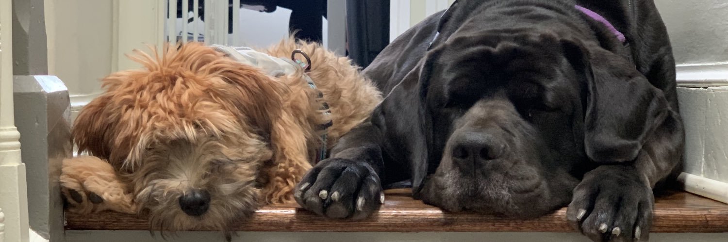 Ryan Thompson banner