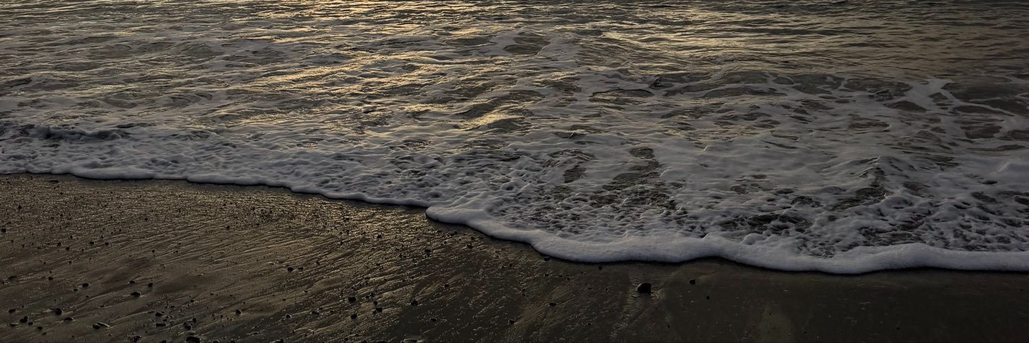 gabysilvaaa_'s profile banner image