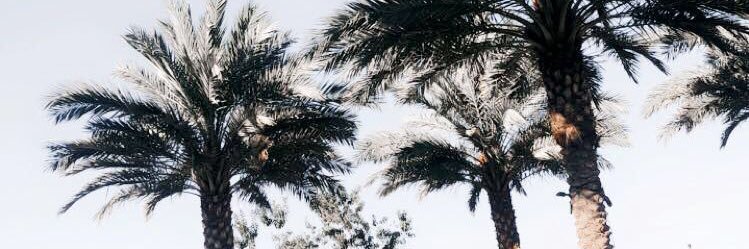 madigulbranson's profile banner image