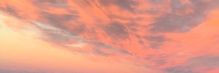 SofiiGancedo's profile banner image