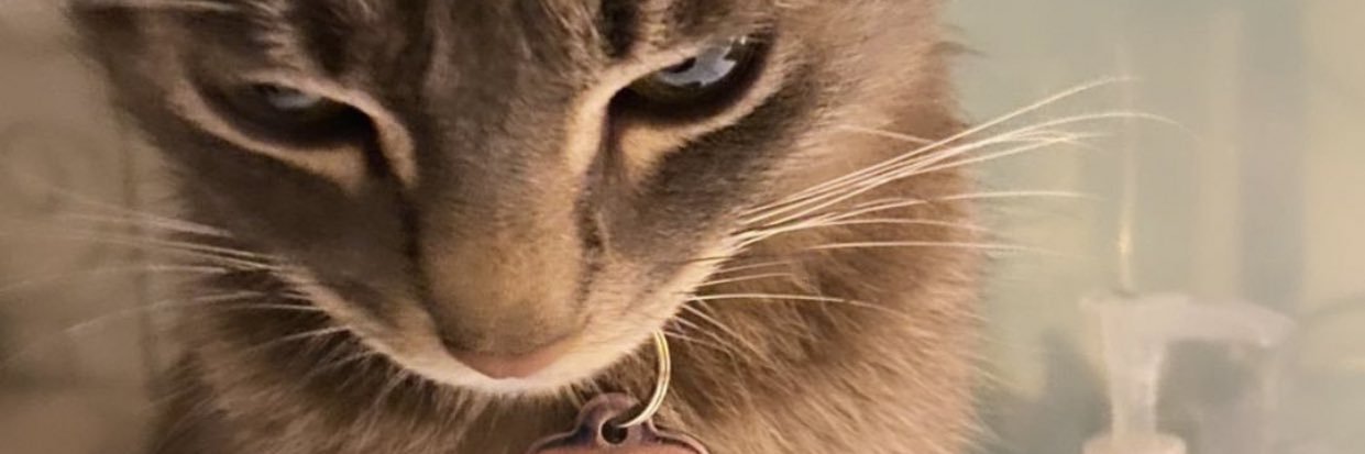 eli_182's profile banner image